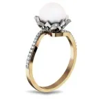 ������ �������������