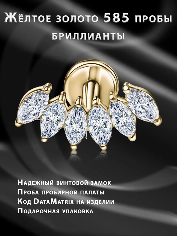 �������� ��� �������� � �������� � 6 ������������ "�����" ����� ������