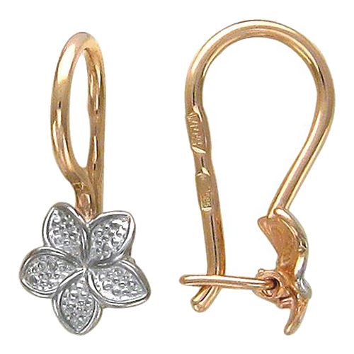 ������� ������ ��� �������