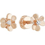 ������ �������������