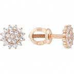 ������ �������������