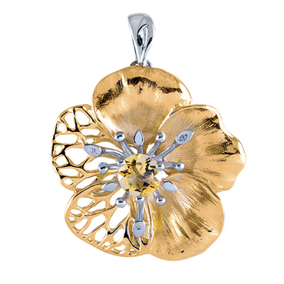 ������� �������� "��������� ����"