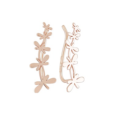 ������ ����� ����� ���