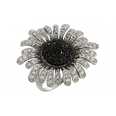 ������ � ��������