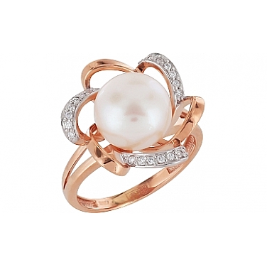 ������ � ����������� � ��������