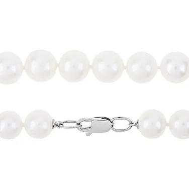 ����� � ��������