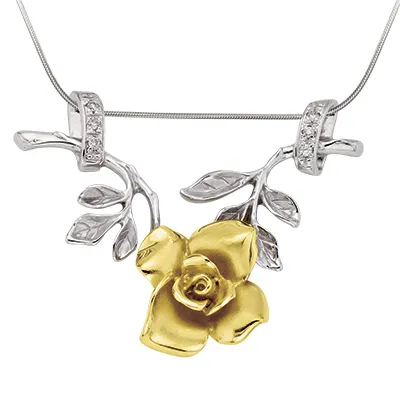 ������� �������� �����