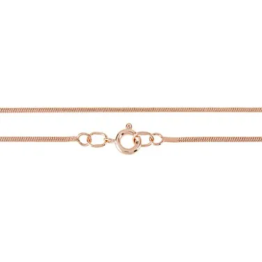 ���� �������� ������ �������