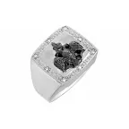 ������ �������������