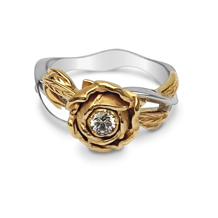 ������ ���� �� �������