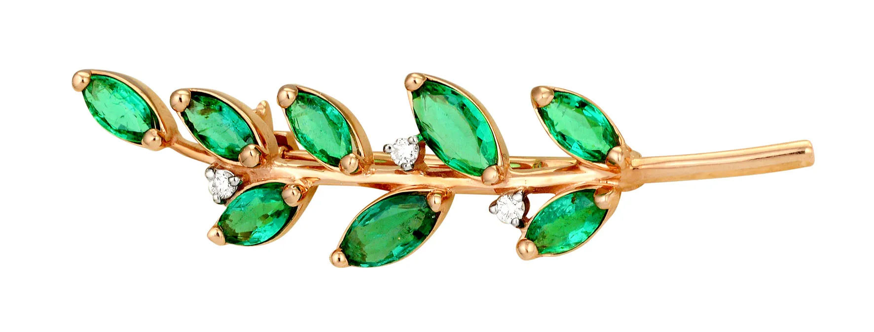 ������� ����� � ���������� � ������������