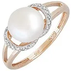 ������ �������������