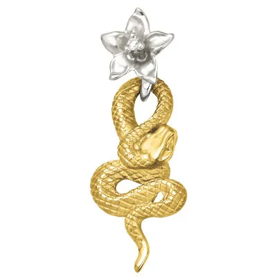 ������� �������� ���� "���"